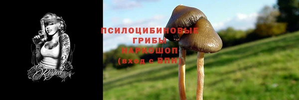 спайс Белокуриха