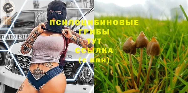 спайс Белокуриха
